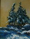 After the snow (sold)