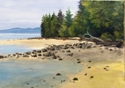 Saltspring Beach (acrylic 12x16)