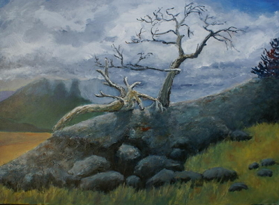 Burmis Tree  (sold)