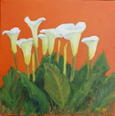 Colorful Callas (sold)