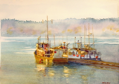 Morning at Shearwater-Sold